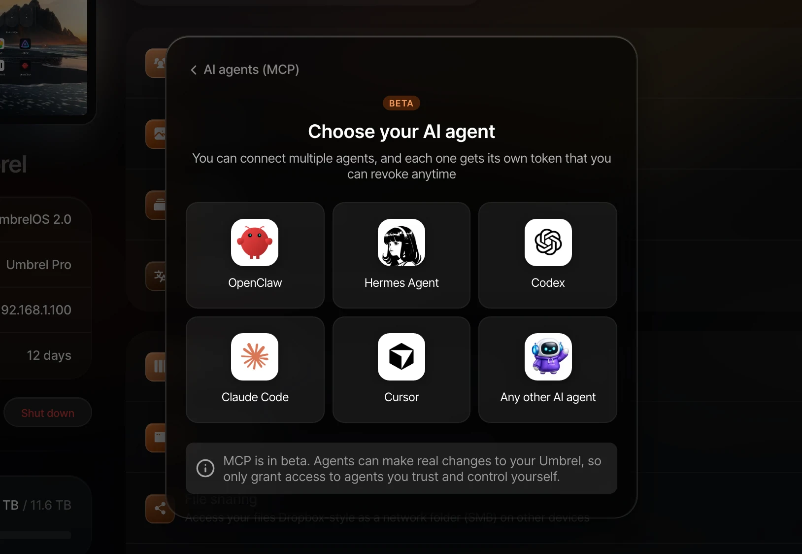 Choose your AI agent detail