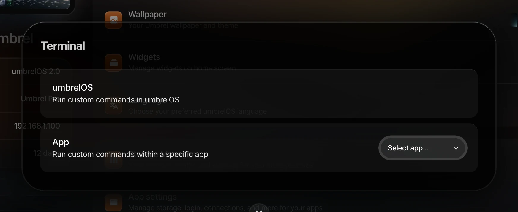 Terminal in Settings detail