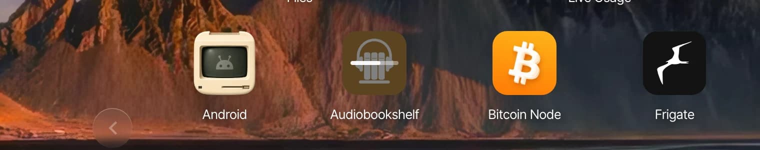An app installing on the home screen detail