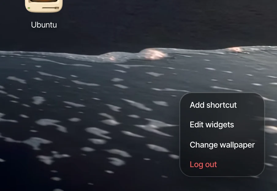 Right-click menu on the home screen detail