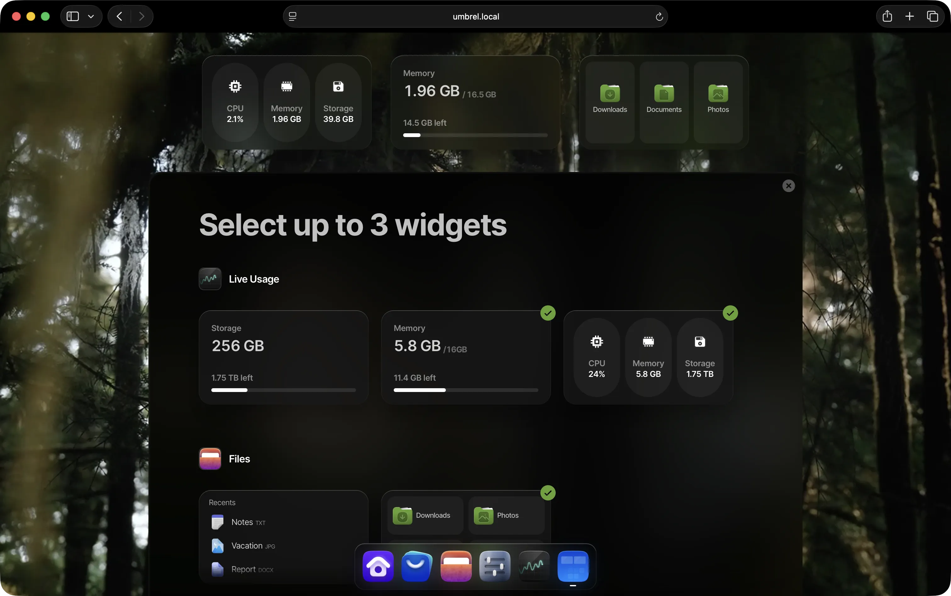 Widget selector