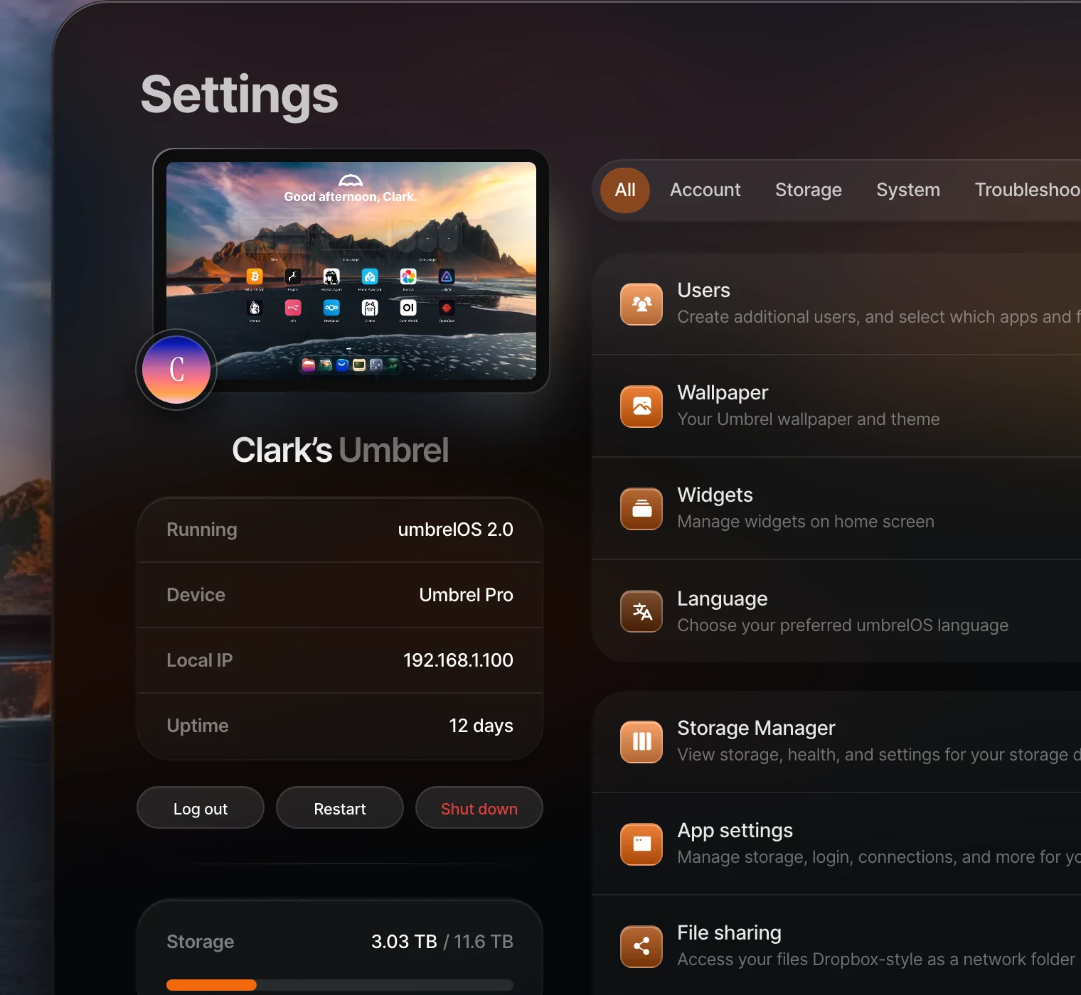 Local IP in Settings detail