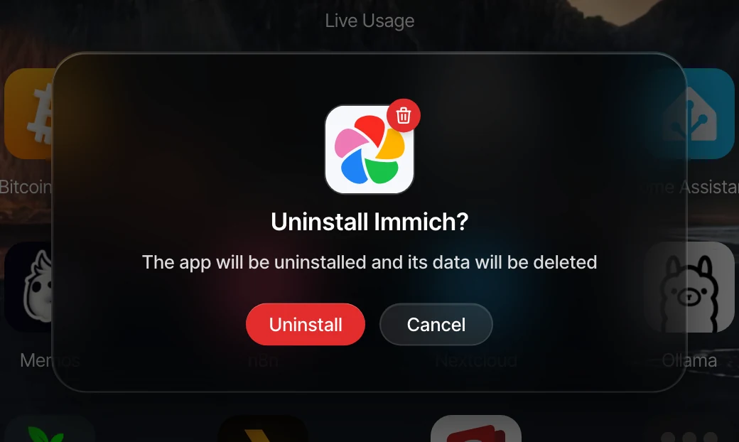 Uninstall Immich